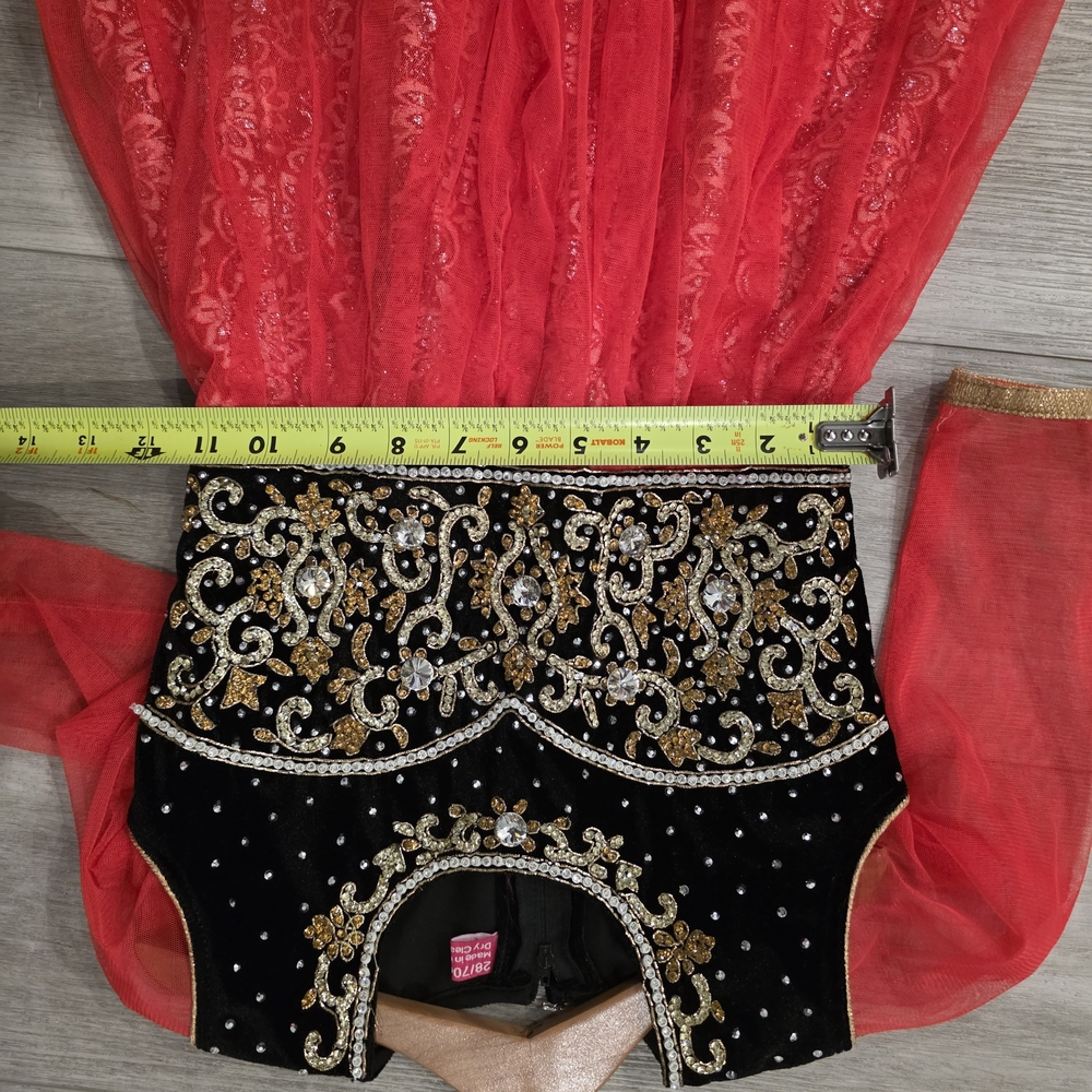 Indian/Pakistani Elegant Red and Black Embellished Dress - Picture 7 of 7